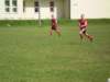 p1100684_small.jpg