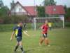 p1100690_small.jpg