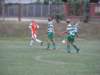 img_4710_small.jpg