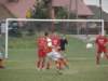 img_2439_small.jpg