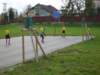 sv200443_small.jpg