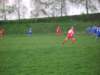 sv201073_small.jpg