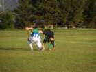 sam_0585_small.jpg