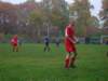 sv200603_small.jpg