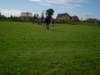 p9160054_small.jpg