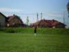 p9160059_small.jpg