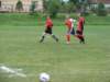 img_0232_small.jpg