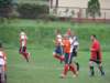 img_0243_small.jpg
