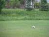img_0264_small.jpg