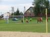 img_0266_small.jpg