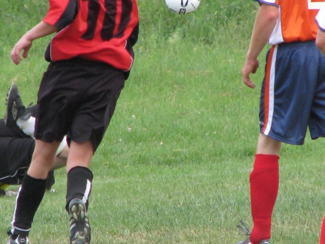 img_0295.jpg