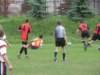 img_0494_small.jpg