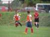 img_0816_small.jpg