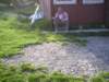 pic00149_small.jpg